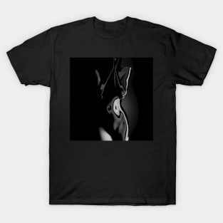 woman silhouette T-Shirt